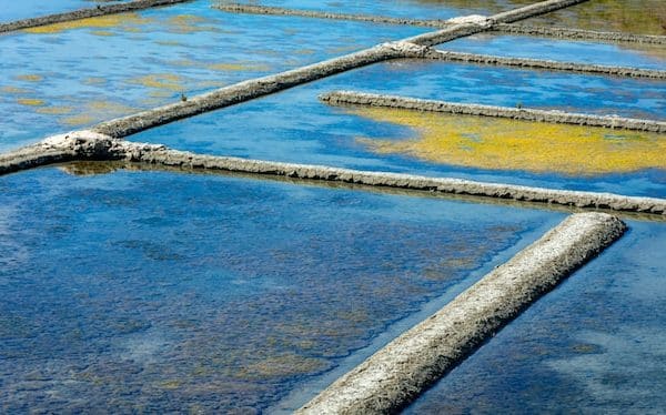 3 idées touristiques originales pour la presqu’île de Guérande